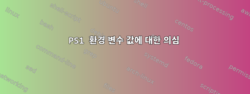 PS1 환경 변수 값에 대한 의심