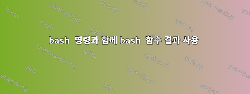 bash 명령과 함께 bash 함수 결과 사용