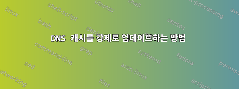 DNS 캐시를 강제로 업데이트하는 방법