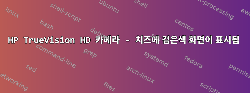 HP TrueVision HD 카메라 - 치즈에 검은색 화면이 표시됨