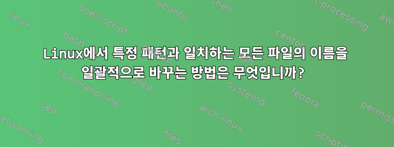 Linux에서 특정 패턴과 일치하는 모든 파일의 이름을 일괄적으로 바꾸는 방법은 무엇입니까?