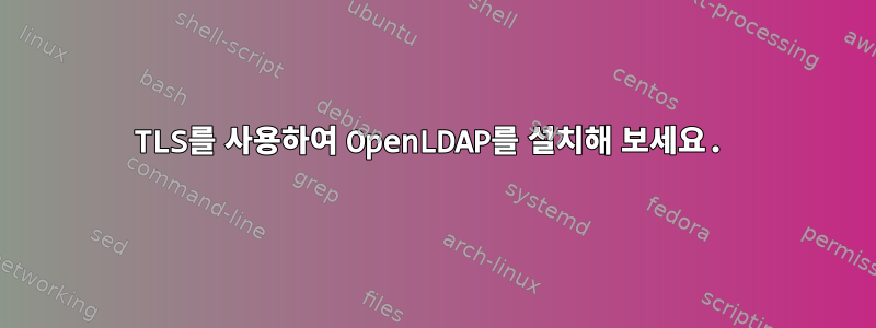 TLS를 사용하여 OpenLDAP를 설치해 보세요.