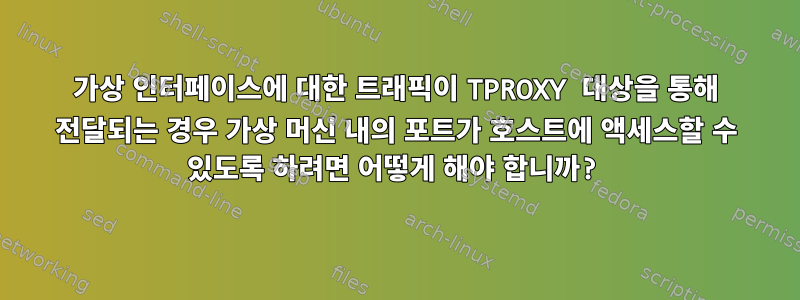 가상 인터페이스에 대한 트래픽이 TPROXY 대상을 통해 전달되는 경우 가상 머신 내의 포트가 호스트에 액세스할 수 있도록 하려면 어떻게 해야 합니까?