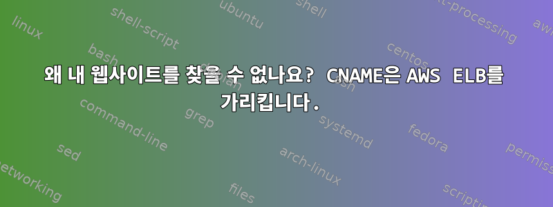 왜 내 웹사이트를 찾을 수 없나요? CNAME은 AWS ELB를 가리킵니다.