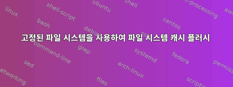 고정된 파일 시스템을 사용하여 파일 시스템 캐시 플러시