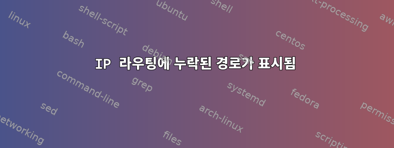 IP 라우팅에 누락된 경로가 표시됨