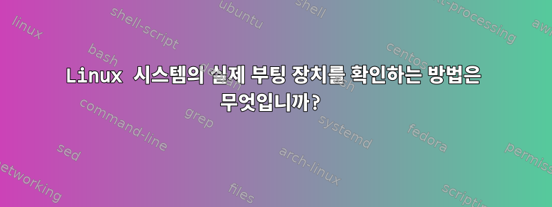 Linux 시스템의 실제 부팅 장치를 확인하는 방법은 무엇입니까?