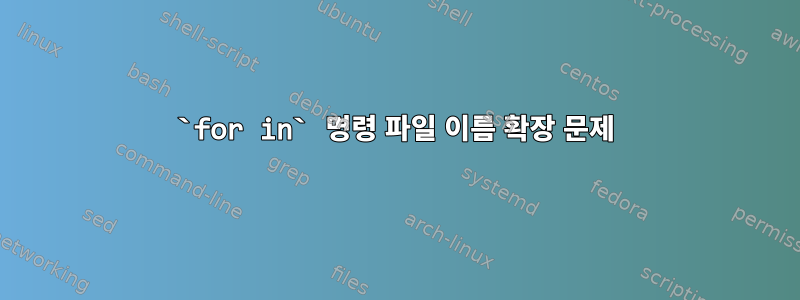 `for in` 명령 파일 이름 확장 문제