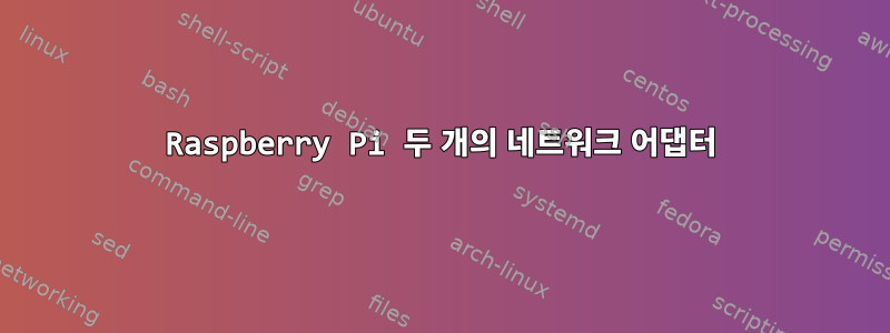 Raspberry Pi 두 개의 네트워크 어댑터