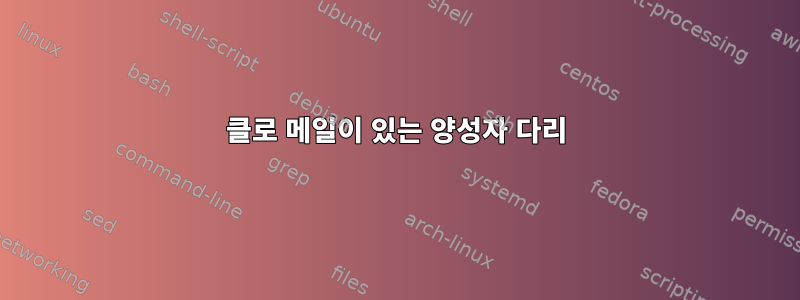 클로 메일이 있는 양성자 다리