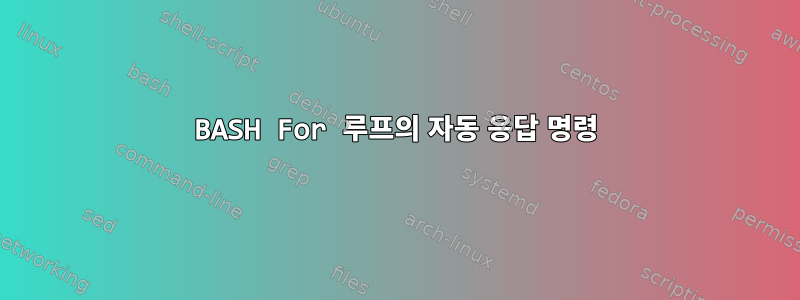 BASH For 루프의 자동 응답 명령