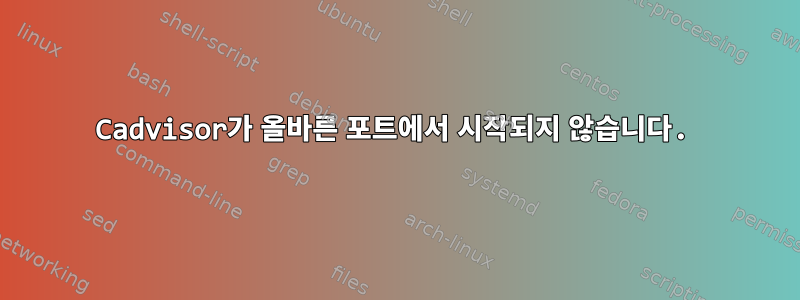 Cadvisor가 올바른 포트에서 시작되지 않습니다.