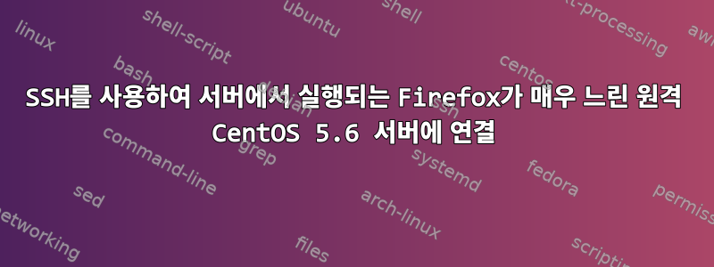 SSH를 사용하여 서버에서 실행되는 Firefox가 매우 느린 원격 CentOS 5.6 서버에 연결