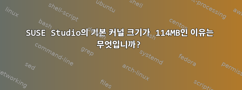 SUSE Studio의 기본 커널 크기가 114MB인 이유는 무엇입니까?