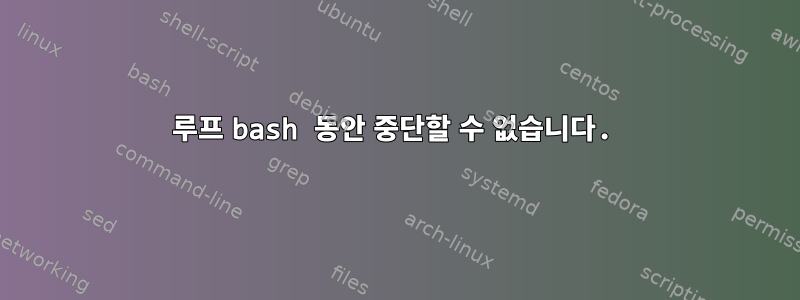 루프 bash 동안 중단할 수 없습니다.