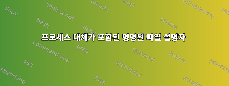 프로세스 대체가 포함된 명명된 파일 설명자