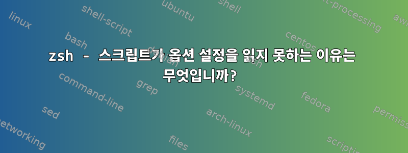 zsh - 스크립트가 옵션 설정을 읽지 못하는 이유는 무엇입니까?