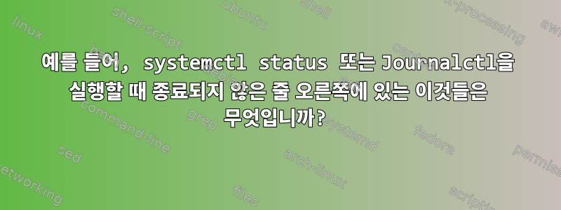 예를 들어, systemctl status 또는 Journalctl을 실행할 때 종료되지 않은 줄 오른쪽에 있는 이것들은 무엇입니까?