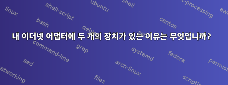 내 이더넷 어댑터에 두 개의 장치가 있는 이유는 무엇입니까?