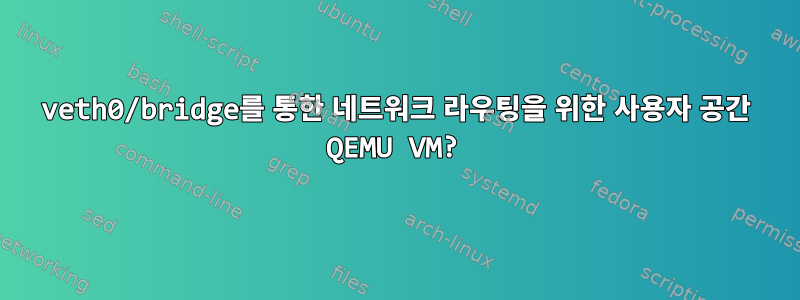 veth0/bridge를 통한 네트워크 라우팅을 위한 사용자 공간 QEMU VM?