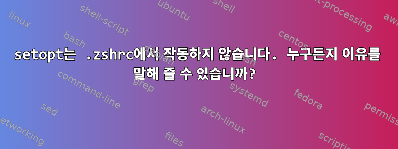 setopt는 .zshrc에서 작동하지 않습니다. 누구든지 이유를 말해 줄 수 있습니까?