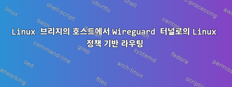 Linux 브리지의 호스트에서 Wireguard 터널로의 Linux 정책 기반 라우팅