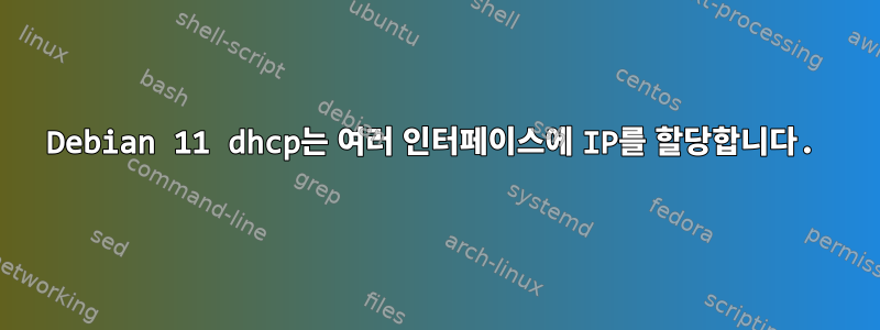 Debian 11 dhcp는 여러 인터페이스에 IP를 할당합니다.