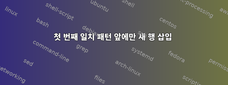 첫 번째 일치 패턴 앞에만 새 행 삽입