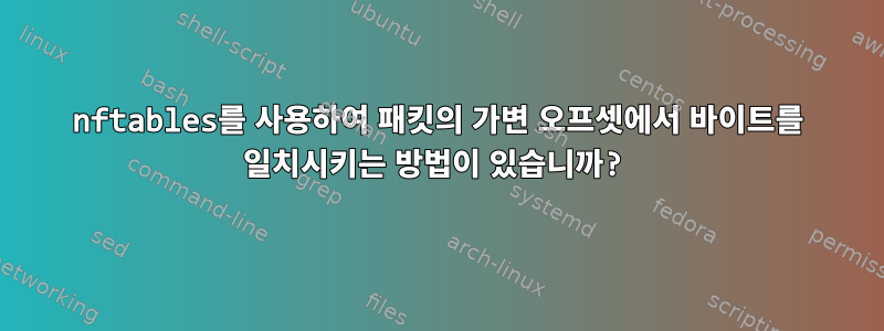 nftables를 사용하여 패킷의 가변 오프셋에서 바이트를 일치시키는 방법이 있습니까?