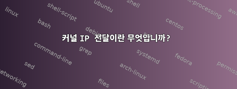 커널 IP 전달이란 무엇입니까?