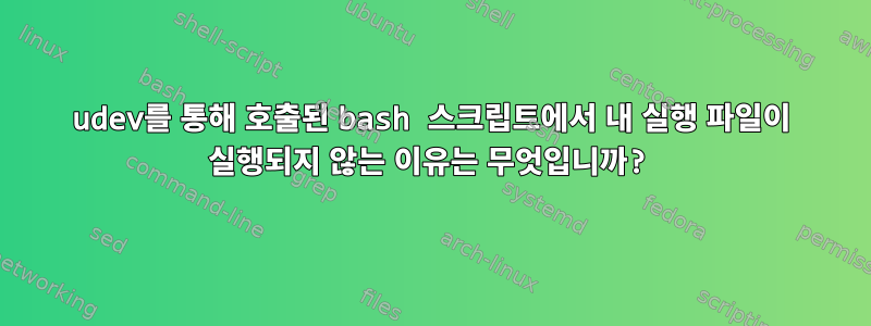 udev를 통해 호출된 bash 스크립트에서 내 실행 파일이 실행되지 않는 이유는 무엇입니까?