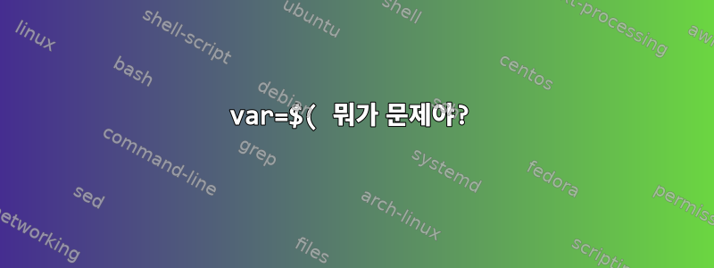 var=$( 뭐가 문제야?