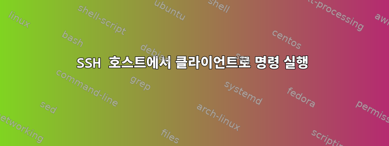 SSH 호스트에서 클라이언트로 명령 실행