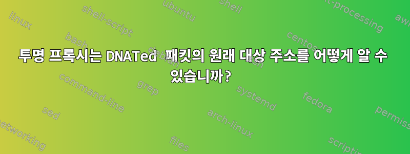 투명 프록시는 DNATed 패킷의 원래 대상 주소를 어떻게 알 수 있습니까?