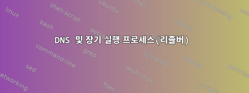 DNS 및 장기 실행 프로세스(리졸버)