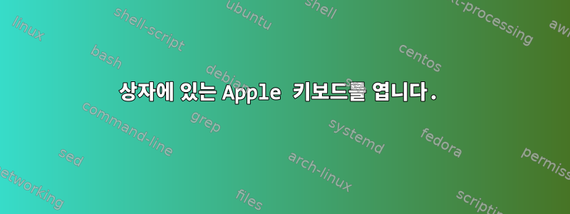 상자에 있는 Apple 키보드를 엽니다.