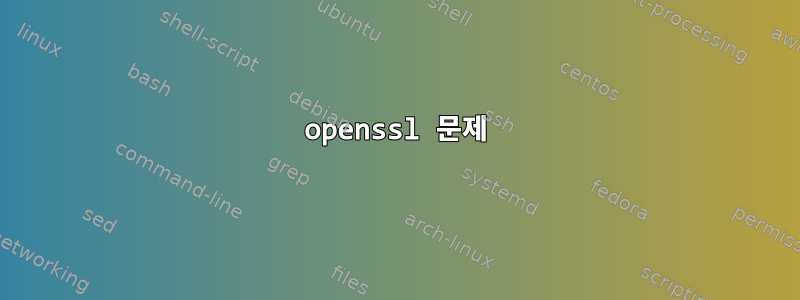 openssl 문제