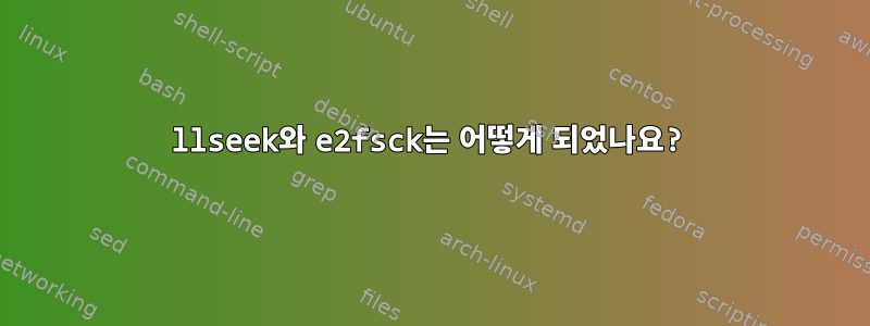 llseek와 e2fsck는 어떻게 되었나요?