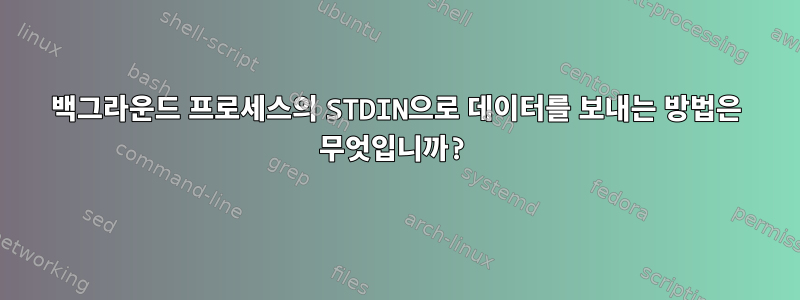 백그라운드 프로세스의 STDIN으로 데이터를 보내는 방법은 무엇입니까?