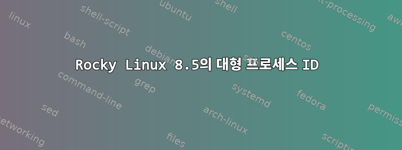 Rocky Linux 8.5의 대형 프로세스 ID