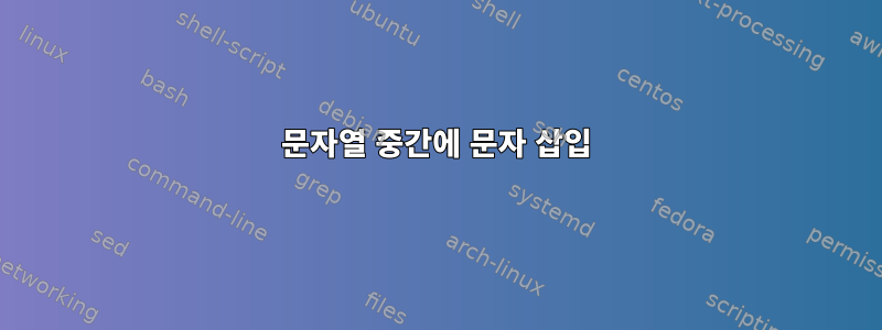 문자열 중간에 문자 삽입