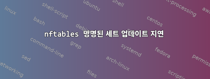 nftables 명명된 세트 업데이트 지연