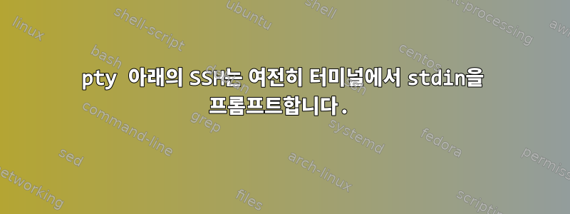 pty 아래의 SSH는 여전히 터미널에서 stdin을 프롬프트합니다.