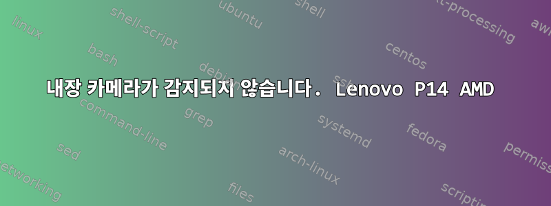 내장 카메라가 감지되지 않습니다. Lenovo P14 AMD