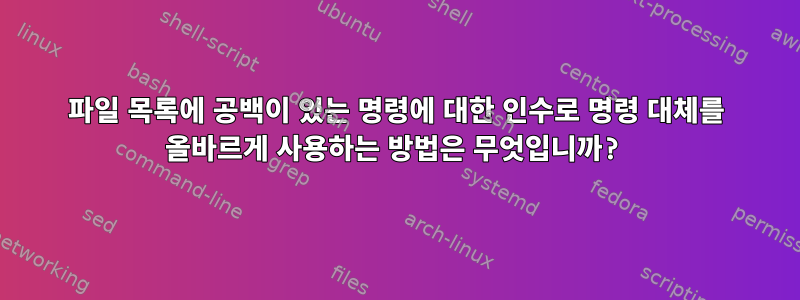 파일 목록에 공백이 있는 명령에 대한 인수로 명령 대체를 올바르게 사용하는 방법은 무엇입니까?