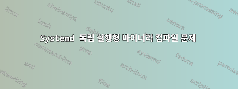 Systemd 독립 실행형 바이너리 컴파일 문제