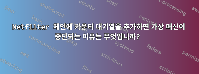 Netfilter 체인에 카운터 대기열을 추가하면 가상 머신이 중단되는 이유는 무엇입니까?