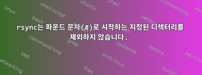 rsync는 파운드 문자(#)로 시작하는 지정된 디렉터리를 제외하지 않습니다.