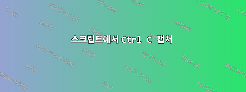 스크립트에서 Ctrl C 캡처