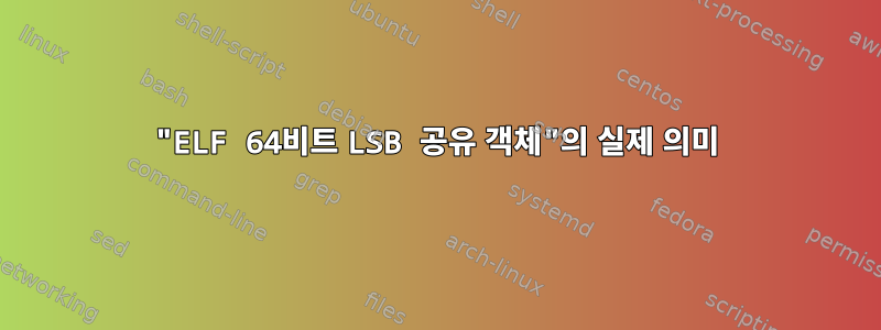 "ELF 64비트 LSB 공유 객체"의 실제 의미